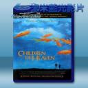   天堂的孩子/小鞋子 Children of Heaven <伊朗> (1997) 藍光25G