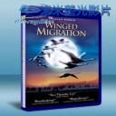  鳥的遷徙鳥與夢飛行 Winged Migration 藍光BD-25G