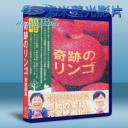   這一生，至少當一次傻瓜 (2013) 藍光BD-25G