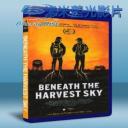   收獲天空之下 Beneath the Harvest Sky (2013) 藍光25G