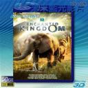   (特價50G-3D+2D影片) 魔法王國 Enchanted Kingdom (2014) 藍光50G