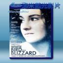   暴風雪中的白鳥 White Bird in a Blizzard (2013) 藍光25G