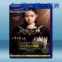   所羅門的偽證後篇：裁判 Solomon's Perjury 2 (2015) 藍光25G