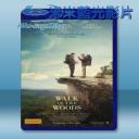   別跟山過不去 A Walk in the Woods (2015) 藍光影片25G