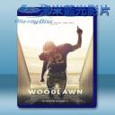   橄欖球傳奇 Woodlawn (2015) 藍光影片25G