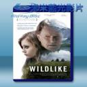   荒野逃亡 Wildlike (2014) 藍光影片25G