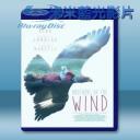   鷹之路 Brothers of the Wind (2015) 藍光影片25G