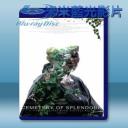   華麗之墓 (2015) 藍光25G