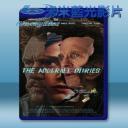   記憶迷局 The Adderall Diaries (2015) 藍光影片25G
