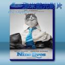   我的老爸喵星人 Nine Lives (2016) 藍光25G