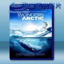   北極奇觀/奇幻冰極 Wonders of the Arctic (2014) 藍光影片25G