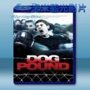   惡狗幫 Dog Pound [2010] 藍光影片25G