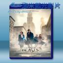   怪獸與牠們的產地 Fantastic Beasts and Where to Find Them (2016) 藍光25G