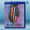   辛普森-美國製造 (雙碟) 藍光影片25G