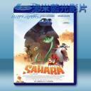   撒哈拉 Sahara (2017) 藍光影片25G