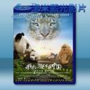   我們誕生在中國 (2016) 藍光影片25G