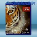   大貓 Big Cats (2018)  藍光影片25G