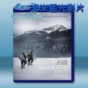  走出界線 Walking Out (2017) 藍光25G
