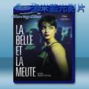   美女與狗兒 Aala Kaf Ifrit/Beauty and the Dogs (2017) 藍光25G