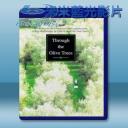   橄欖樹下的情人 Zire darakhatan zeyton‎ 【1994】 藍光25G