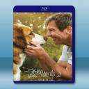  狗狗的旅程 A Dog’s Journey (2019) 藍光25G