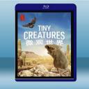 微觀世界 Tiny Creatures (2碟...