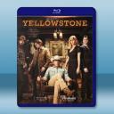  黃石 第1季 Yellowstone Season 1(2018)2碟 藍光25G