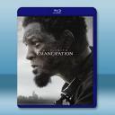 解放黑奴 Emancipation(2022)...