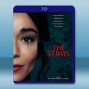 異客/流浪者 The Strays (2023...