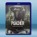 偷獵者 Poacher (2024)藍光25G 2碟T