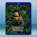 進化症候群/動物王國 The Animal Kingdom(2023)藍光25G