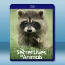 動物的秘密生活 The Secret Live...