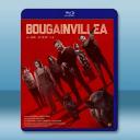 紫茉莉 Bougainvillea (2024...