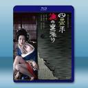 歡場春夢 四畳半襖の裏張り（1973）藍光影片...