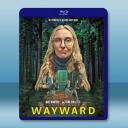 幽鎮異校 Wayward (2025)藍光25...