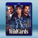 百變王牌 第三季 Wild Cards S3(...
